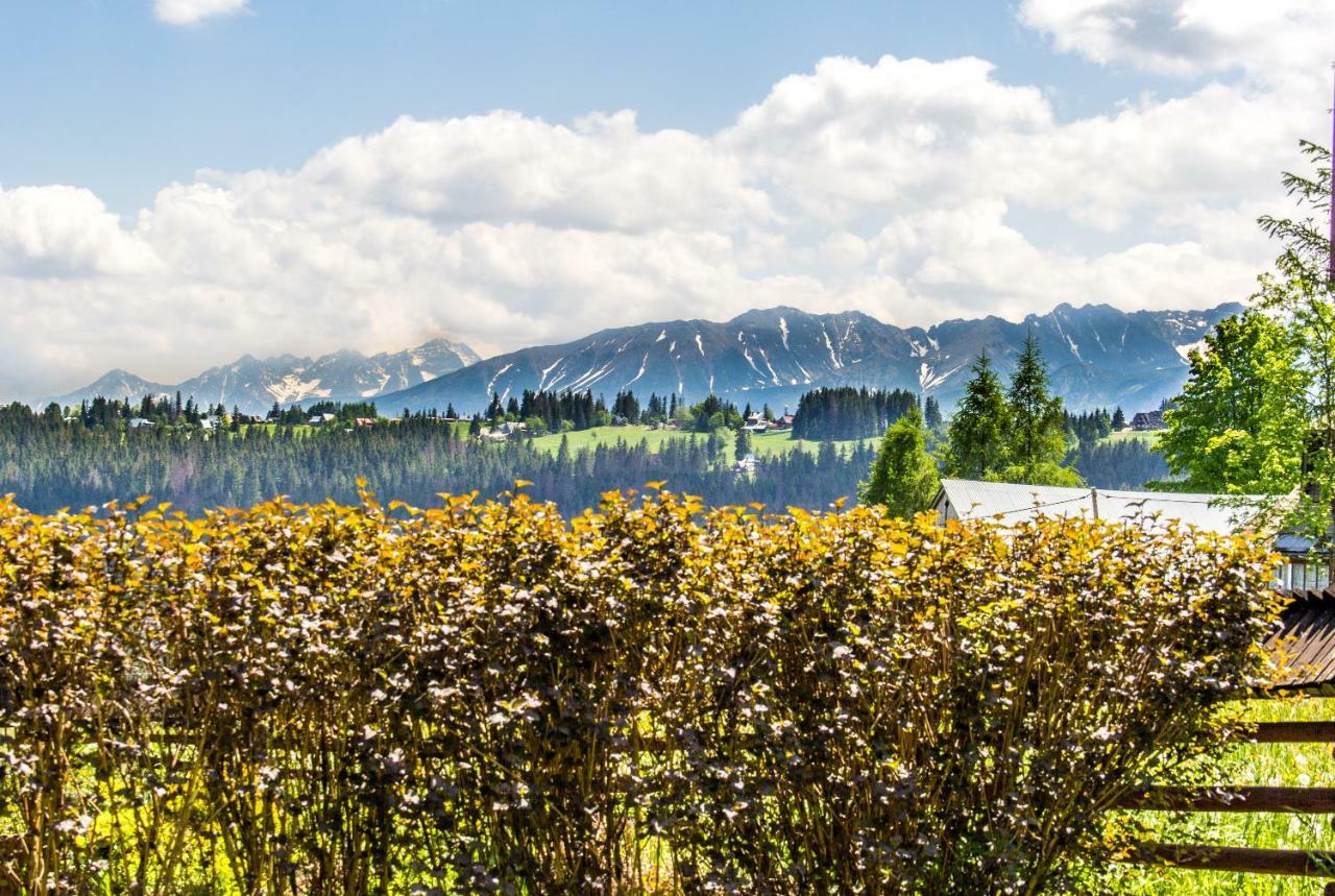 Apartamenty Osada Gubalowka Zakopane Exteriör bild